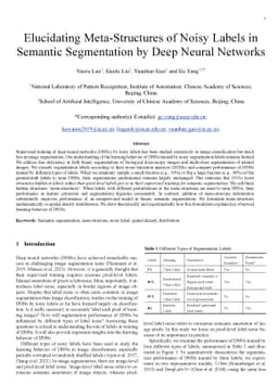Elucidating Meta-Structures of Noisy Labels in Semantic Segmentation by
  Deep Neural Networks