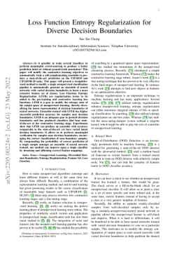 Loss Function Entropy Regularization for Diverse Decision Boundaries