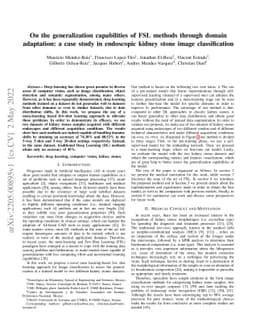 On the generalization capabilities of FSL methods through domain
  adaptation: a case study in endoscopic kidney stone image classification