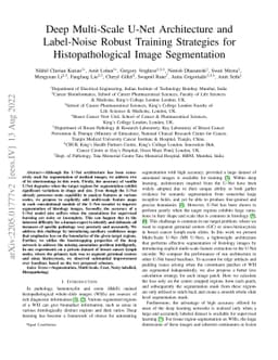 Deep Multi-Scale U-Net Architecture and Label-Noise Robust Training
  Strategies for Histopathological Image Segmentation