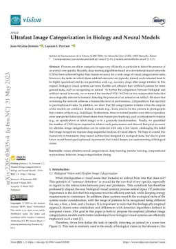 Ultrafast Image Categorization in Biology and Neural Models