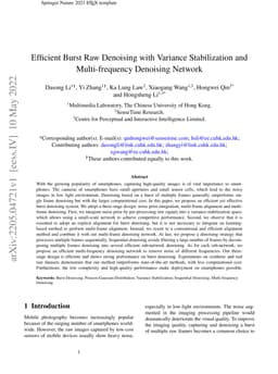 Efficient Burst Raw Denoising with Variance Stabilization and
  Multi-frequency Denoising Network