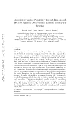 Assessing Streamline Plausibility Through Randomized Iterative
  Spherical-Deconvolution Informed Tractogram Filtering