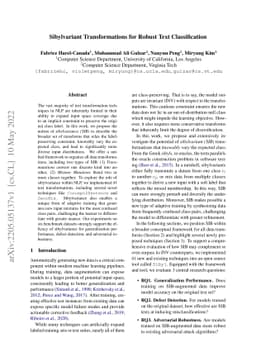 Sibylvariant Transformations for Robust Text Classification