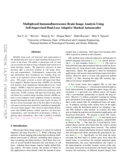 Multiplexed Immunofluorescence Brain Image Analysis Using
  Self-Supervised Dual-Loss Adaptive Masked Autoencoder