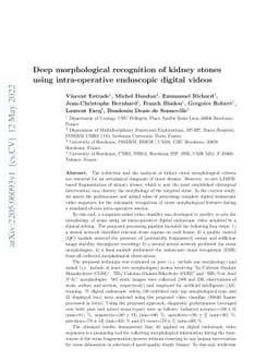 Deep morphological recognition of kidney stones using intra-operative
  endoscopic digital videos
