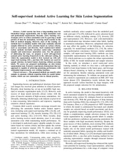 Self-supervised Assisted Active Learning for Skin Lesion Segmentation