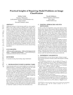 Practical Insights of Repairing Model Problems on Image Classification