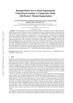 Brachial Plexus Nerve Trunk Segmentation Using Deep Learning: A
  Comparative Study with Doctors' Manual Segmentation