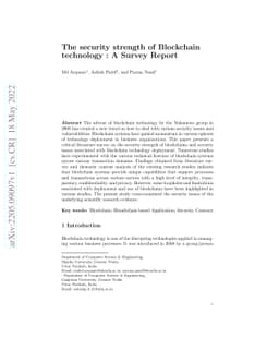 The security strength of Blockchain technology : A Survey Report