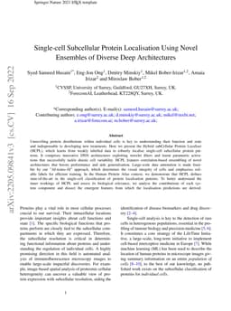 Single-cell Subcellular Protein Localisation Using Novel Ensembles of
  Diverse Deep Architectures