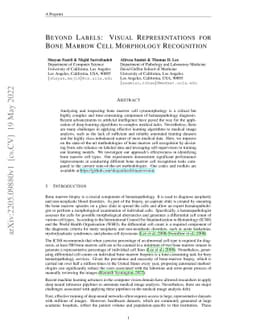 Beyond Labels: Visual Representations for Bone Marrow Cell Morphology
  Recognition