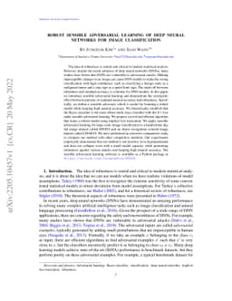 Robust Sensible Adversarial Learning of Deep Neural Networks for Image
  Classification