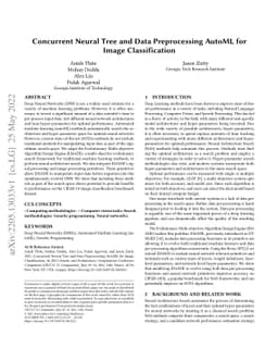 Concurrent Neural Tree and Data Preprocessing AutoML for Image
  Classification