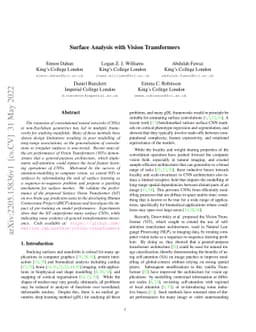 Surface Analysis with Vision Transformers