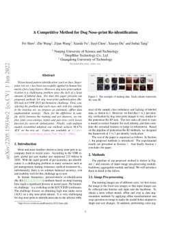 A Competitive Method for Dog Nose-print Re-identification