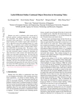 Label-Efficient Online Continual Object Detection in Streaming Video