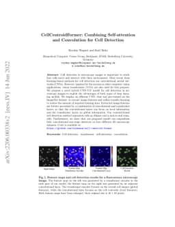 CellCentroidFormer: Combining Self-attention and Convolution for Cell
  Detection