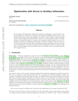 Optimization with Access to Auxiliary Information
