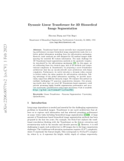 Dynamic Linear Transformer for 3D Biomedical Image Segmentation