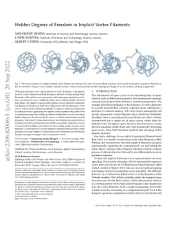 Hidden Degrees of Freedom in Implicit Vortex Filaments