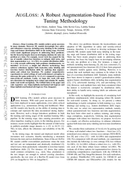 AugLoss: A Robust Augmentation-based Fine Tuning Methodology