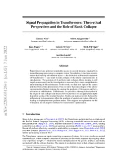 Signal Propagation in Transformers: Theoretical Perspectives and the
  Role of Rank Collapse