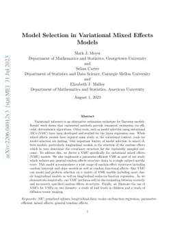 Model Selection in Variational Mixed Effects Models