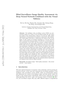 Blind Surveillance Image Quality Assessment via Deep Neural Network
  Combined with the Visual Saliency