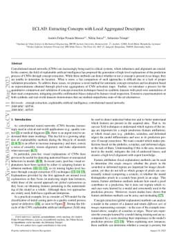 ECLAD: Extracting Concepts with Local Aggregated Descriptors