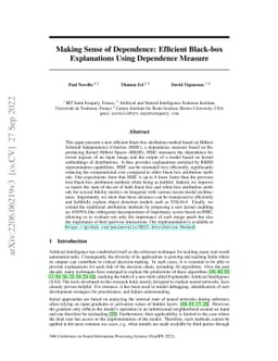 Making Sense of Dependence: Efficient Black-box Explanations Using
  Dependence Measure