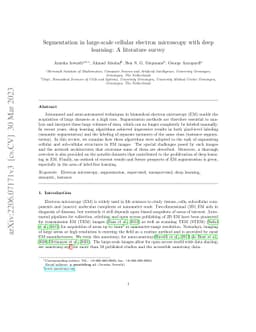 Segmentation in large-scale cellular electron microscopy with deep
  learning: A literature survey