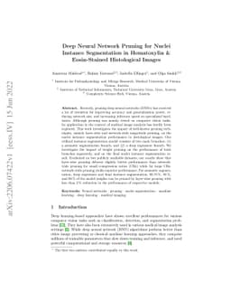 Deep Neural Network Pruning for Nuclei Instance Segmentation in
  Hematoxylin & Eosin-Stained Histological Images