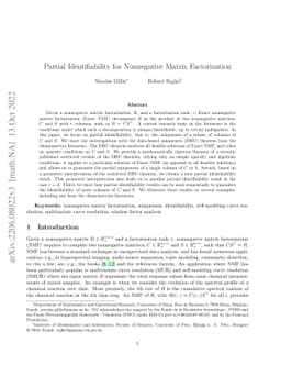 Partial Identifiability for Nonnegative Matrix Factorization