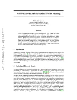 Renormalized Sparse Neural Network Pruning