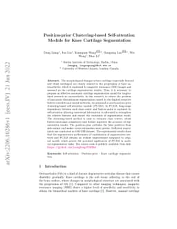 Position-prior Clustering-based Self-attention Module for Knee Cartilage
  Segmentation