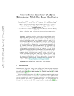 Kernel Attention Transformer (KAT) for Histopathology Whole Slide Image
  Classification