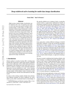 Deep reinforced active learning for multi-class image classification