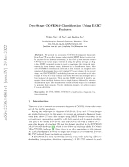 Two-Stage COVID19 Classification Using BERT Features