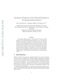 Invariance Properties of the Natural Gradient in Overparametrised
  Systems