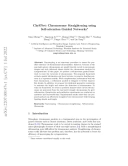 ChrSNet: Chromosome Straightening using Self-attention Guided Networks