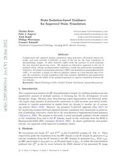 Stain Isolation-based Guidance for Improved Stain Translation