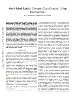 Multi-Label Retinal Disease Classification using Transformers