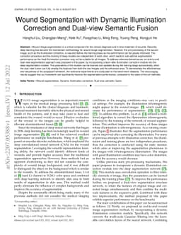 Wound Segmentation with Dynamic Illumination Correction and Dual-view
  Semantic Fusion