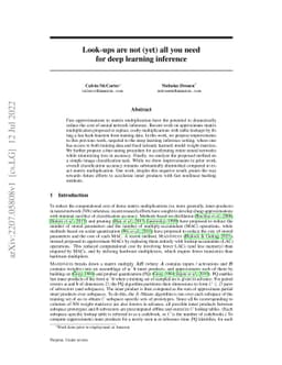 Look-ups are not (yet) all you need for deep learning inference