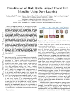 Classification of Bark Beetle-Induced Forest Tree Mortality using Deep
  Learning