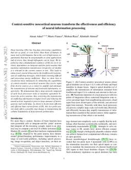 Context-sensitive neocortical neurons transform the effectiveness and
  efficiency of neural information processing
