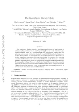 The Importance Markov Chain