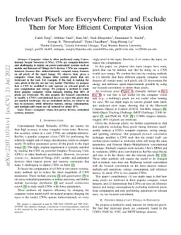 Irrelevant Pixels are Everywhere: Find and Exclude Them for More
  Efficient Computer Vision