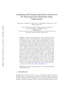 Combining Self-Training and Hybrid Architecture for Semi-supervised
  Abdominal Organ Segmentation